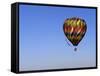 Hot Air Ballooning, Albuquerque, New Mexico, USA-Paul Sutton-Framed Stretched Canvas