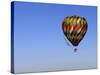 Hot Air Ballooning, Albuquerque, New Mexico, USA-Paul Sutton-Stretched Canvas