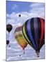 Hot Air Ballooning, Albuquerque, New Mexico, USA-Paul Sutton-Mounted Photographic Print