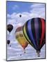 Hot Air Ballooning, Albuquerque, New Mexico, USA-Paul Sutton-Mounted Photographic Print