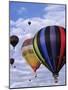 Hot Air Ballooning, Albuquerque, New Mexico, USA-Paul Sutton-Mounted Photographic Print