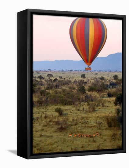 Hot-Air Ballooning, Masai Mara Game Reserve, Kenya-Kymri Wilt-Framed Stretched Canvas