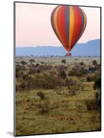 Hot-Air Ballooning, Masai Mara Game Reserve, Kenya-Kymri Wilt-Mounted Photographic Print