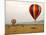 Hot-Air Ballooning, Masai Mara Game Reserve, Kenya-Kymri Wilt-Mounted Photographic Print