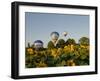 Hot Air Ballooning over Fields of Sunflowers in the Early Morning, Charente, France, Europe-Groenendijk Peter-Framed Photographic Print