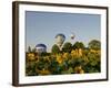 Hot Air Ballooning over Fields of Sunflowers in the Early Morning, Charente, France, Europe-Groenendijk Peter-Framed Photographic Print