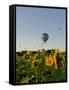 Hot Air Ballooning over Fields of Sunflowers in the Early Morning, Charente, France, Europe-Groenendijk Peter-Framed Stretched Canvas