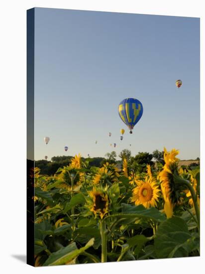 Hot Air Ballooning over Fields of Sunflowers in the Early Morning, Charente, France, Europe-Groenendijk Peter-Stretched Canvas