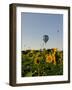 Hot Air Ballooning over Fields of Sunflowers in the Early Morning, Charente, France, Europe-Groenendijk Peter-Framed Photographic Print