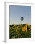 Hot Air Ballooning over Fields of Sunflowers in the Early Morning, Charente, France, Europe-Groenendijk Peter-Framed Photographic Print