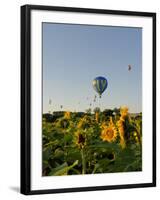 Hot Air Ballooning over Fields of Sunflowers in the Early Morning, Charente, France, Europe-Groenendijk Peter-Framed Photographic Print