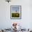 Hot Air Ballooning over Fields of Sunflowers in the Early Morning, Charente, France, Europe-Groenendijk Peter-Framed Photographic Print displayed on a wall