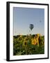 Hot Air Ballooning over Fields of Sunflowers in the Early Morning, Charente, France, Europe-Groenendijk Peter-Framed Photographic Print