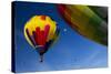 Hot Air Balloons, Albuquerque Balloon Fiesta, New Mexico, USA-Maresa Pryor-Stretched Canvas