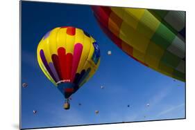Hot Air Balloons, Albuquerque Balloon Fiesta, New Mexico, USA-Maresa Pryor-Mounted Photographic Print