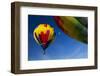 Hot Air Balloons, Albuquerque Balloon Fiesta, New Mexico, USA-Maresa Pryor-Framed Photographic Print