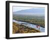 Hot Air Balloons, Albuquerque, New Mexico, USA-Michael Snell-Framed Photographic Print