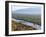 Hot Air Balloons, Albuquerque, New Mexico, USA-Michael Snell-Framed Photographic Print