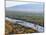 Hot Air Balloons, Albuquerque, New Mexico, USA-Michael Snell-Mounted Photographic Print