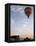 Hot Air Balloons Carry Tourists on Early Morning Flights over the Valley of the Kings, Luxor, Egypt-Mcconnell Andrew-Framed Stretched Canvas