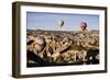 Hot Air Balloons Flying Among Rock Formations at Sunrise in the Red Valley-Ben Pipe-Framed Photographic Print