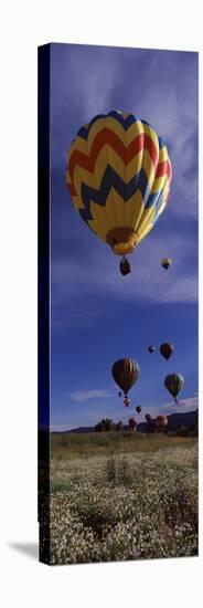 Hot Air Balloons Rising, Hot Air Balloon Rodeo, Steamboat Springs, Routt County, Colorado, USA-null-Stretched Canvas
