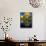 Hot Air Balloons, Snowmass CO-David Carriere-Stretched Canvas displayed on a wall