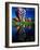 Hot Air Balloons, Snowmass CO-David Carriere-Framed Photographic Print