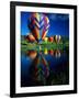 Hot Air Balloons, Snowmass CO-David Carriere-Framed Photographic Print