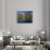 Hot Air Balloons, Snowmass CO-David Carriere-Photographic Print displayed on a wall