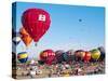 Hot Air Balloons Take Flight, Albuquerque, New Mexico, Usa-Charles Crust-Stretched Canvas