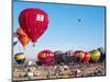 Hot Air Balloons Take Flight, Albuquerque, New Mexico, Usa-Charles Crust-Mounted Photographic Print