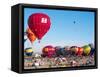 Hot Air Balloons Take Flight, Albuquerque, New Mexico, Usa-Charles Crust-Framed Stretched Canvas