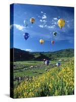 Hot Air Balloons-David Carriere-Stretched Canvas