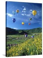 Hot Air Balloons-David Carriere-Stretched Canvas