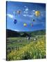 Hot Air Balloons-David Carriere-Stretched Canvas