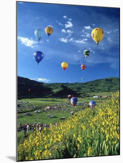 Hot Air Balloons-David Carriere-Mounted Premium Photographic Print