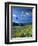 Hot Air Balloons-David Carriere-Framed Premium Photographic Print