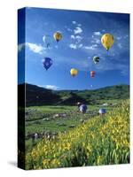 Hot Air Balloons-David Carriere-Stretched Canvas