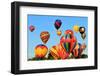 Hot Air Balloons-topseller-Framed Photographic Print