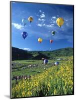 Hot Air Balloons-David Carriere-Mounted Photographic Print