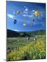 Hot Air Balloons-David Carriere-Mounted Photographic Print