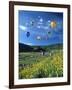 Hot Air Balloons-David Carriere-Framed Photographic Print