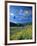 Hot Air Balloons-David Carriere-Framed Photographic Print