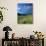 Hot Air Balloons-David Carriere-Photographic Print displayed on a wall