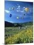 Hot Air Balloons-David Carriere-Mounted Photographic Print