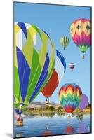 Hot Air Balloons-Lantern Press-Mounted Art Print