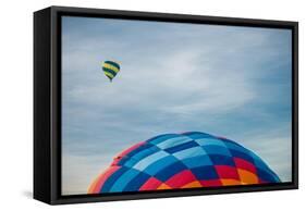 Hot Air Balloons-Steve Gadomski-Framed Stretched Canvas