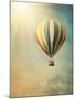 Hot Air Baloon-egal-Mounted Photographic Print