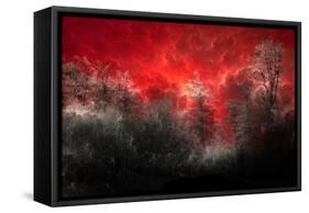 Hot and Cold-Philippe Sainte-Laudy-Framed Stretched Canvas